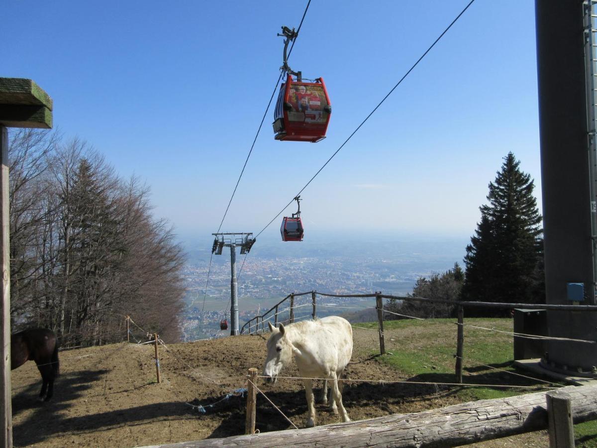 Luxury Apartments Bolf Hočko Pohorje Zewnętrze zdjęcie